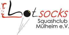 Logo SC hot socks